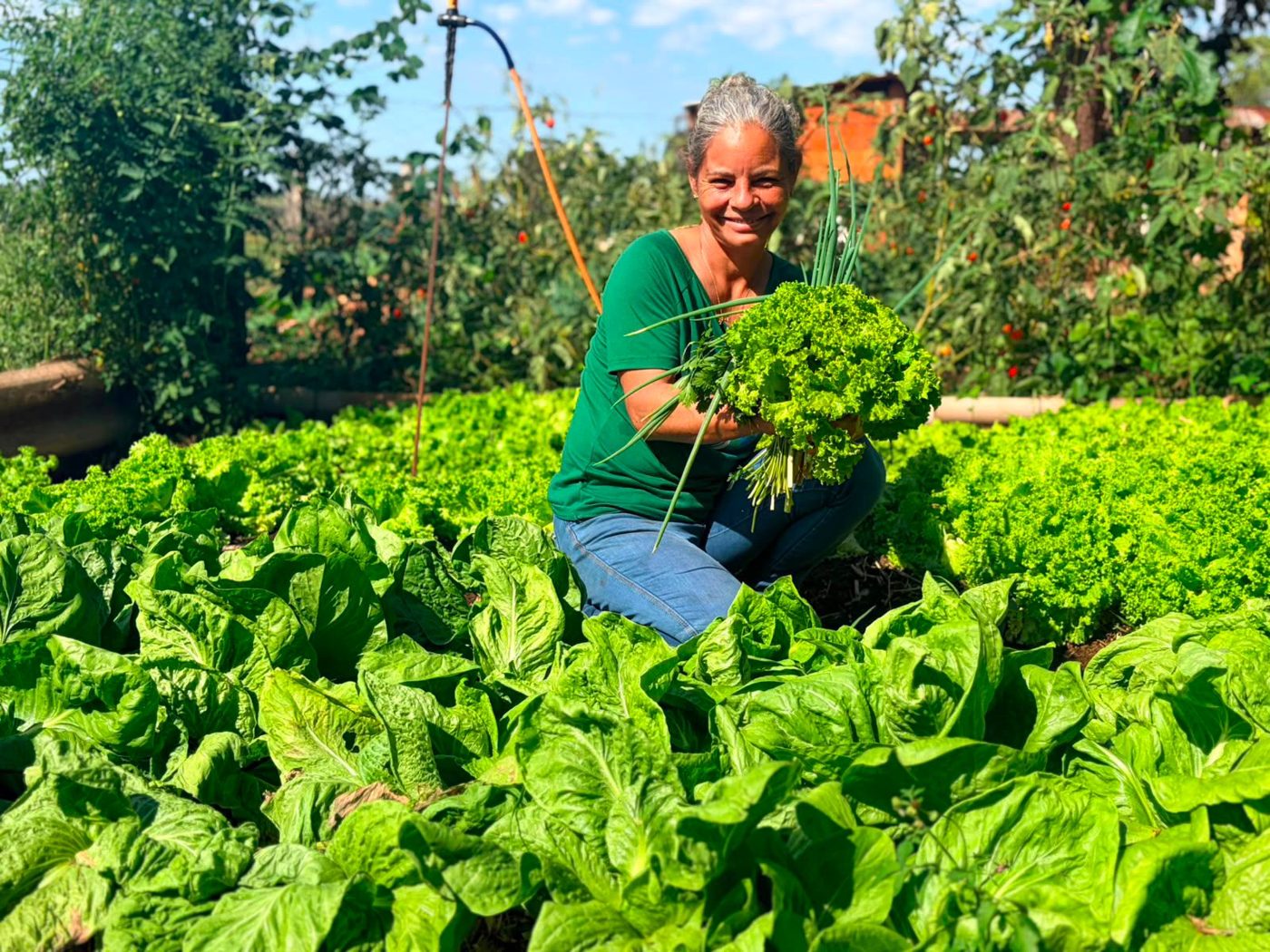 Produtora rural Eliane de Lima Gonçalves segurando hortaliças na horta do Assentamento Santa Clara, em Bataguassu (MS)